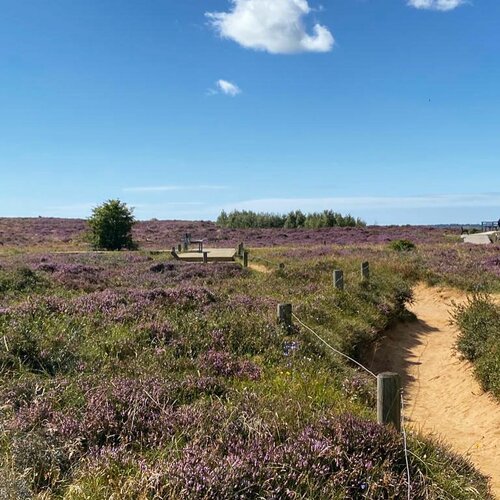 HAPPY SUNDAY!🌾Ein herzlicher Willkommen zurück an den Sommer auf Sylt! Die Insel erstrahlt in lebendigen Farben,...