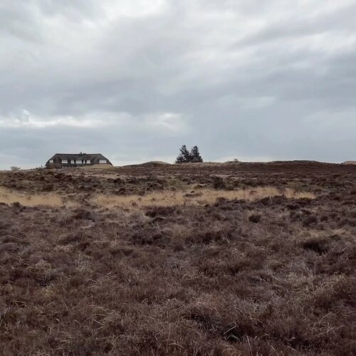 Ein Spaziergang entlang des Morsumer-Kliffs ist eine wunderbare Möglichkeit, die Schönheit und Ruhe der Natur zu erleben...