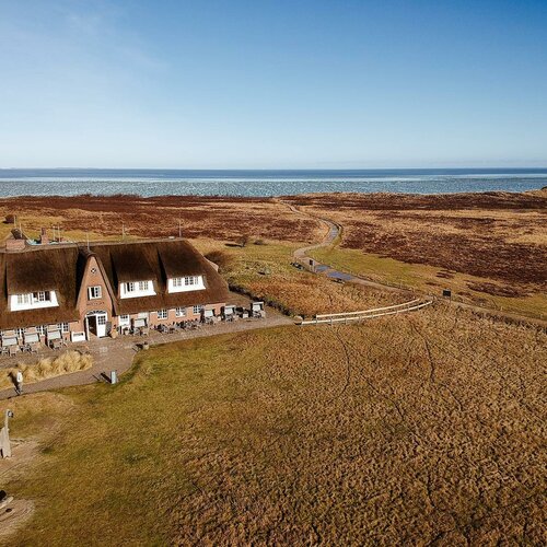 Wir wünschen Ihnen einen schönen Donnerstag!🌾••••••#sylt #naturelovers #syltliebe #inselliebe #happyweekend...