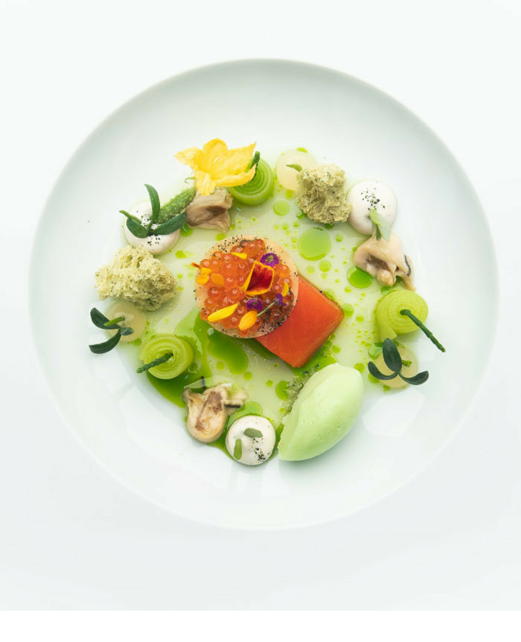 Gourmetgericht auf weißem Teller, kunstvoll angerichtet mit Lachs, grünem Püree und dekorativen Zutaten.