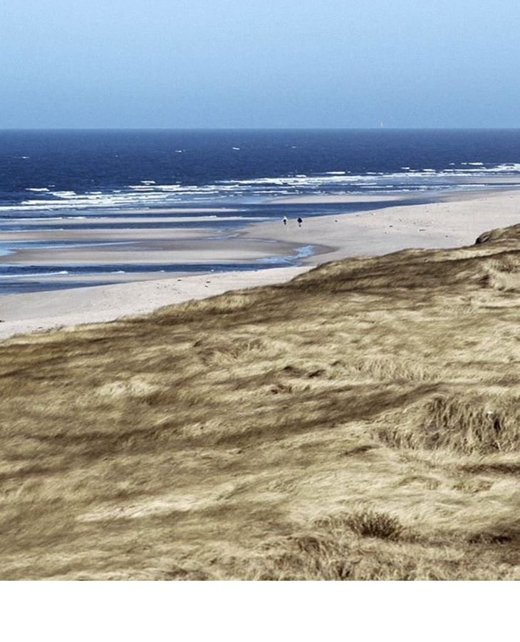 Breiter Sandstrand mit grasbewachsenen Dünen und Blick auf das Meer bei klarem Himmel.