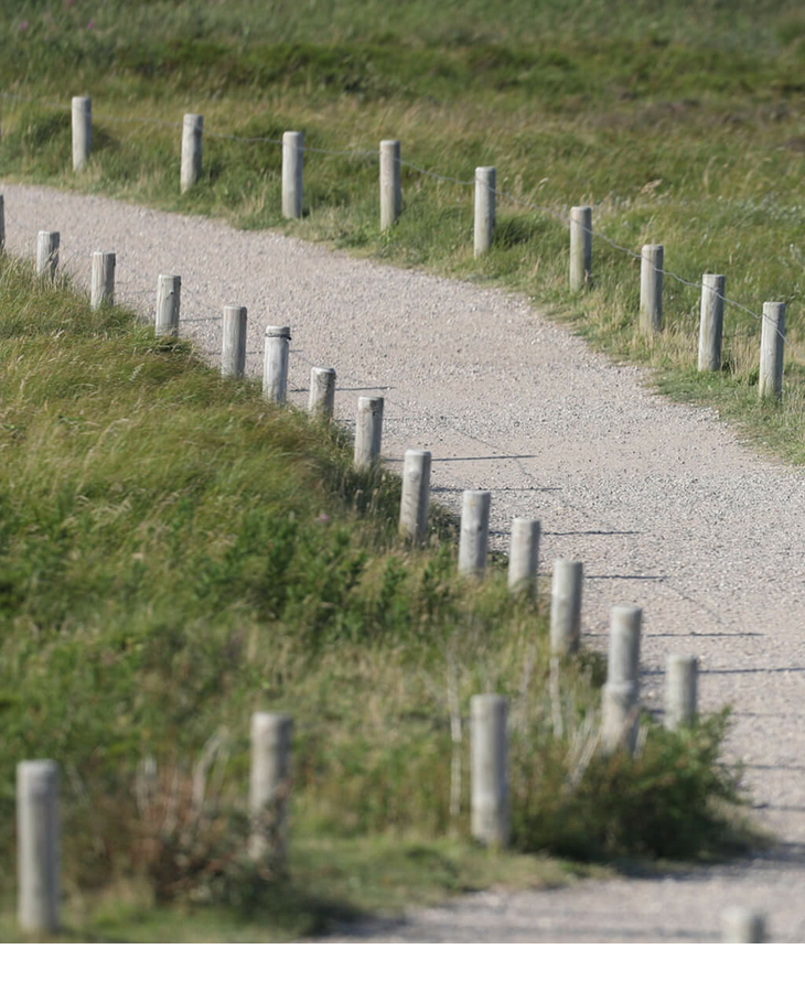 Heidelandschaft auf Sylt | Landhaus Severin's Morsum Kliff