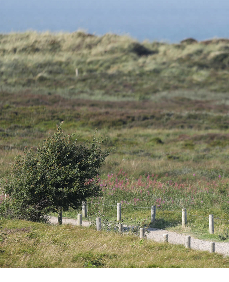 Landschaft auf Sylt | Landhaus Severin's Morsum Kliff